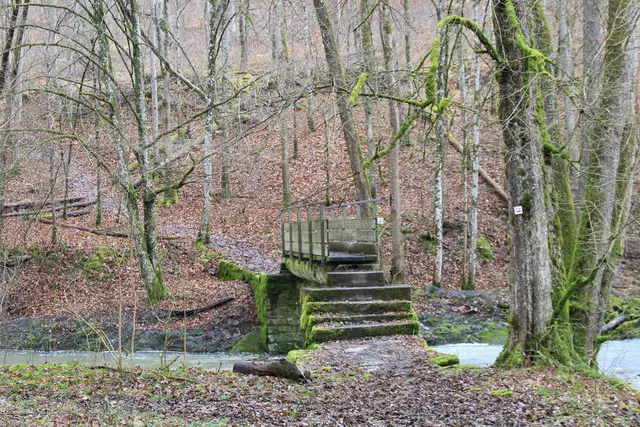 Kupfertal- schwarzer Steg- Forchtenberg | Foto: Ralf Röser