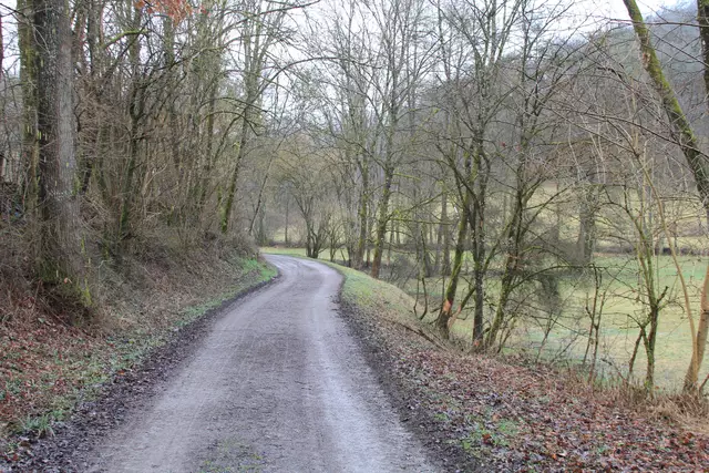 Kupfertal- schwarzer Steg- Forchtenberg | Foto: Ralf Röser