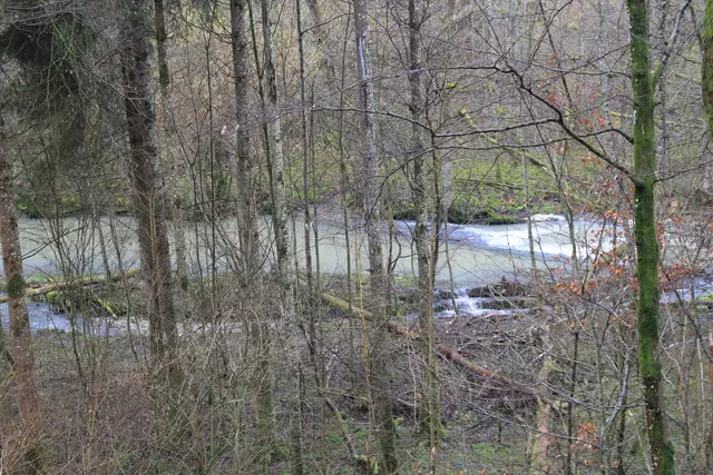 Kupfertal- schwarzer Steg- Forchtenberg | Foto: Ralf Röser