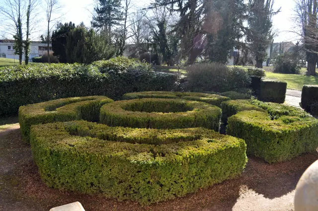 Ein kleiner Buchgarten im hinteren Teil des Parks. | Foto: Daniela Somers