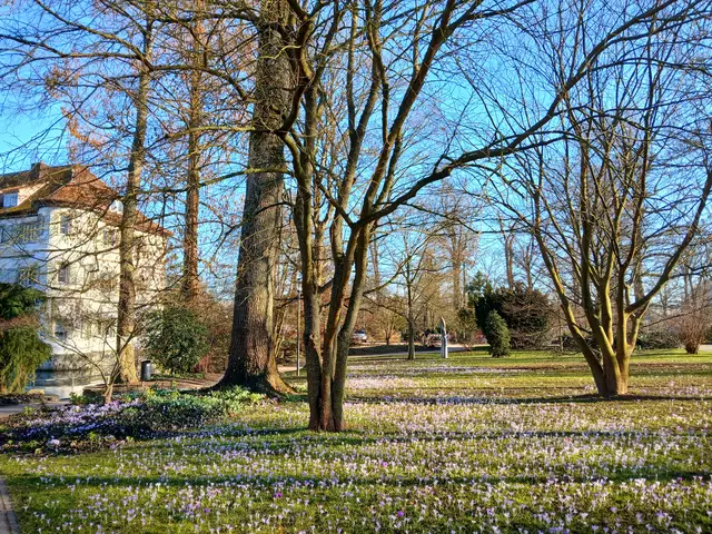 Am Nachmittag..... | Foto: sigischlottke