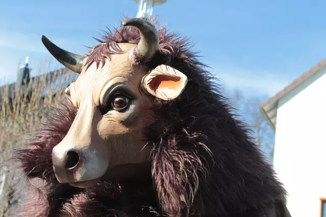 Foto: Sandra Martines