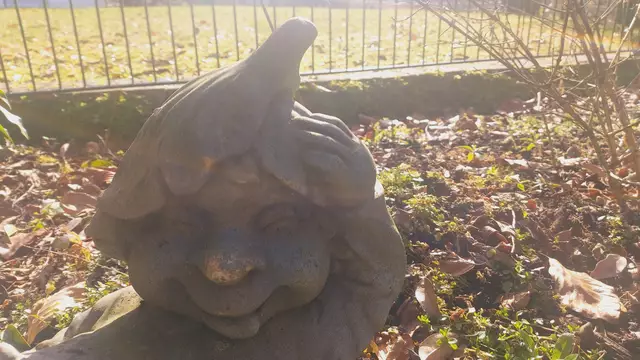unsere kuriosen Garten(mit)bewohner😂😂😎😎😍😍 | Foto: Ralf Röser