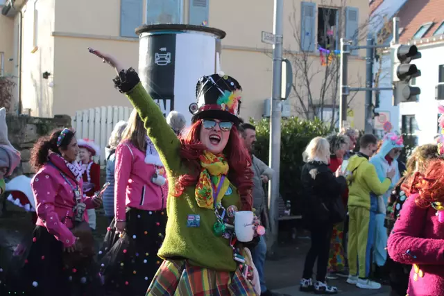 Fasching in Bad Wimpfen | Foto: Sandra Martines