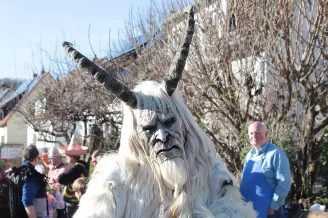 Fasching in Gundelsheim | Foto: Sandra Martines