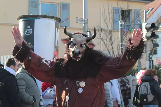 Fasching in Bad Wimpfen | Foto: Sandra Martines
