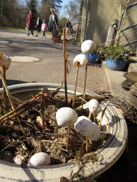 Foto: WandernGabyErich