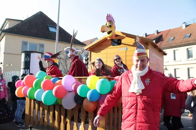 Fasching in Bad Wimpfen | Foto: Sandra Martines