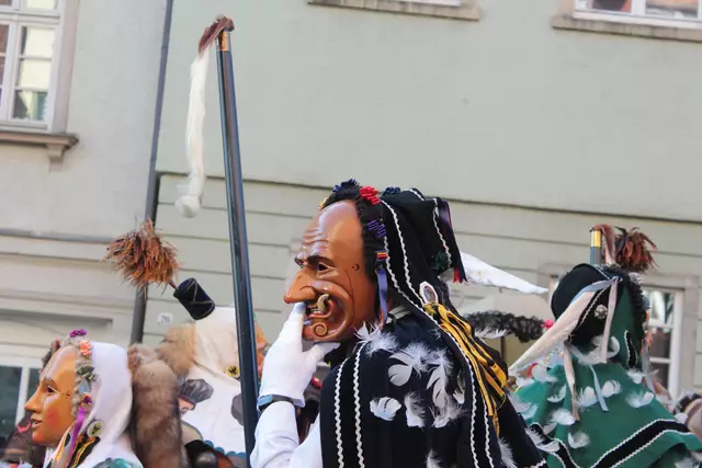 Federahannes | Foto: Sandra Martines