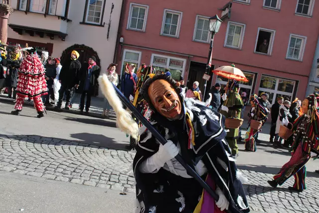 Federahannes | Foto: Sandra Martines