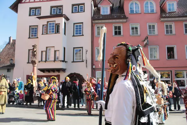 Federahannes | Foto: Sandra Martines