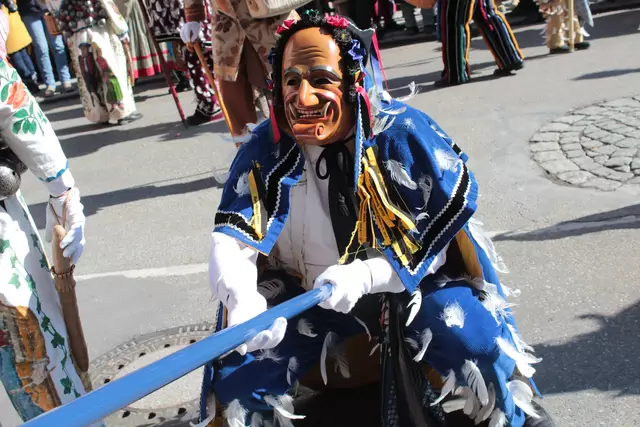 Federahannes | Foto: Sandra Martines