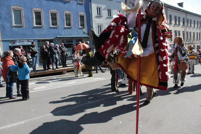 Federahannes | Foto: Sandra Martines