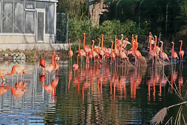 Foto: Eduard Warenik
