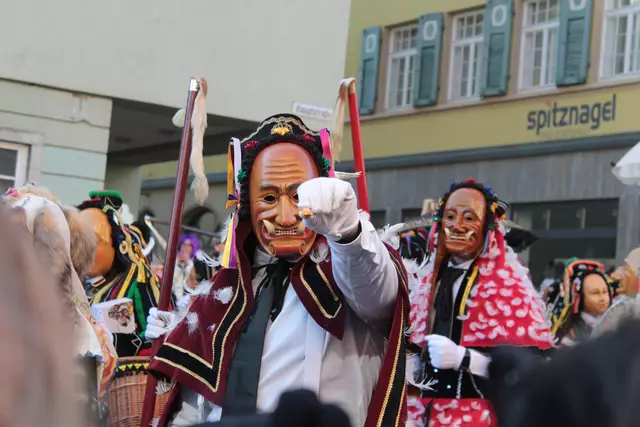 Federahannes | Foto: Sandra Martines