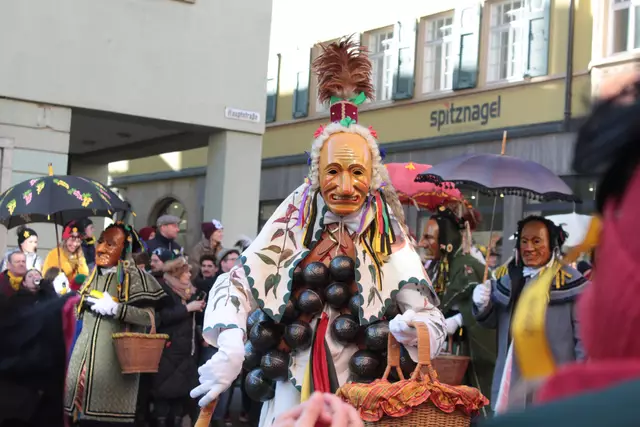 Biß | Foto: Sandra Martines