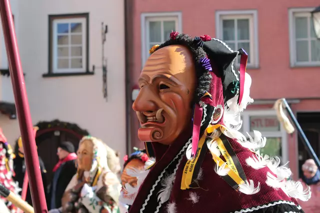 Federahannes | Foto: Sandra Martines