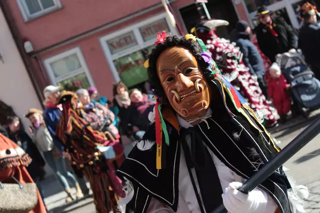 Federahannes | Foto: Sandra Martines