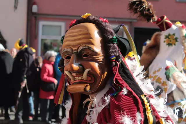 Federahannes | Foto: Sandra Martines