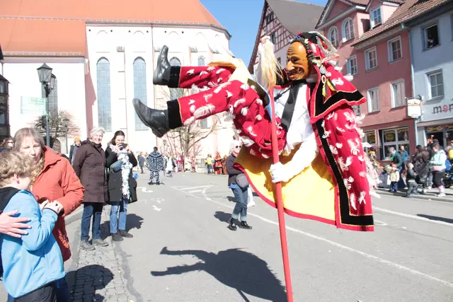 Federahannes | Foto: Sandra Martines