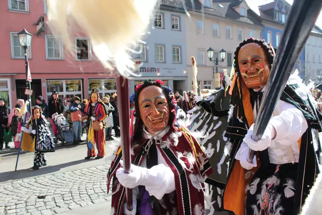 Federahannes | Foto: Sandra Martines