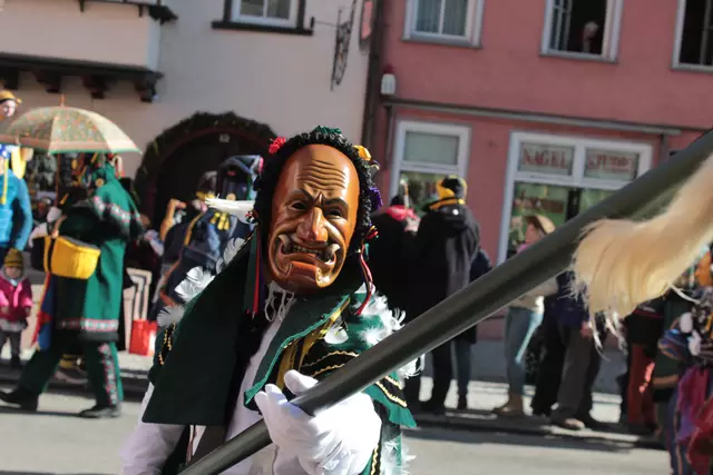 Federahannes | Foto: Sandra Martines