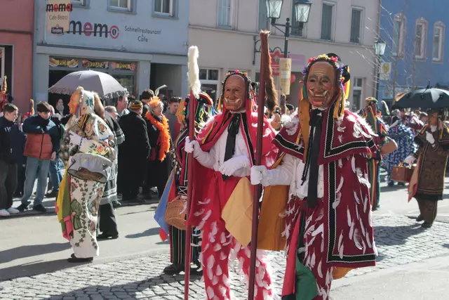 Federahannes | Foto: Sandra Martines