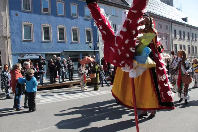 Federahannes | Foto: Sandra Martines