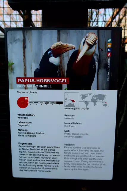 Foto: Eduard Warenik
