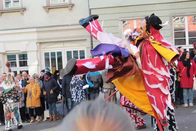 Federahannes | Foto: Sandra Martines