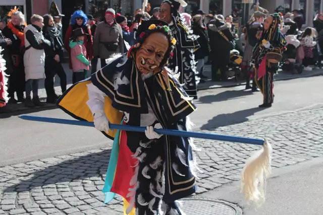 Federahannes | Foto: Sandra Martines