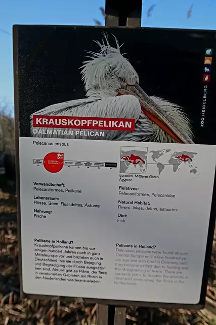 Foto: Eduard Warenik