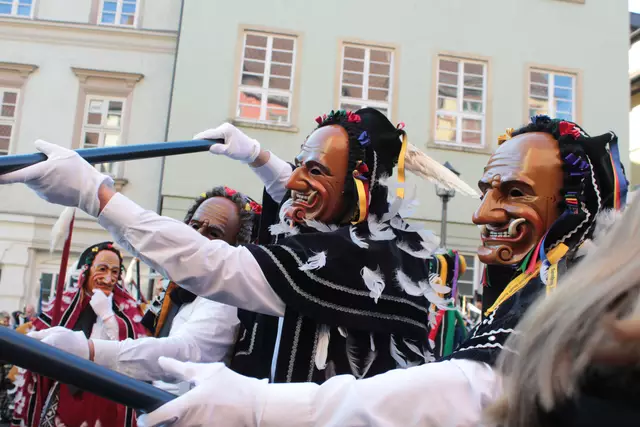 Federahannes | Foto: Sandra Martines