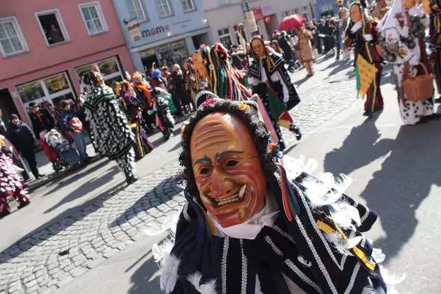 Federahannes | Foto: Sandra Martines