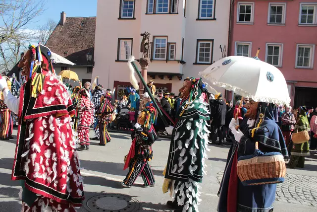 Federahannes | Foto: Sandra Martines