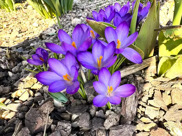 Foto: Heide Böllinger aus Bad Friedrichshall