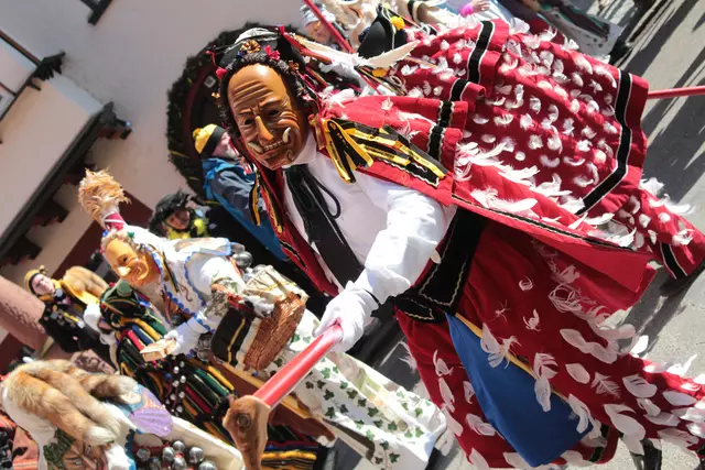 Federahannes | Foto: Sandra Martines