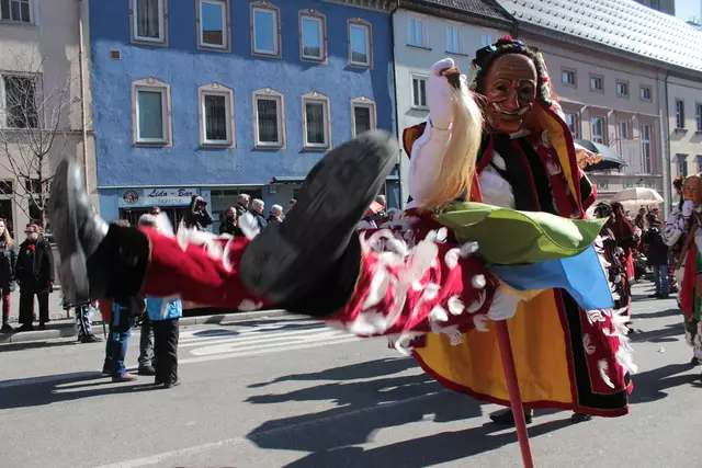 Federahannes | Foto: Sandra Martines