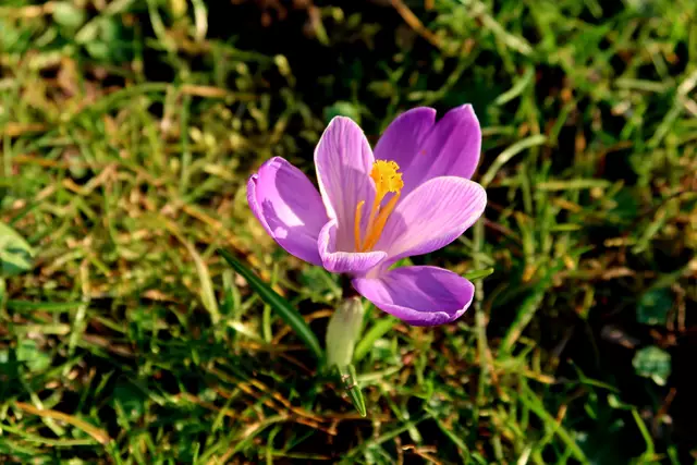 Foto: Eduard Warenik