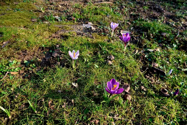 Foto: Eduard Warenik