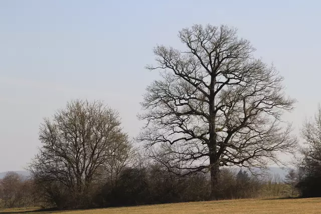 Starkholzbacher See | Foto: Ralf Röser