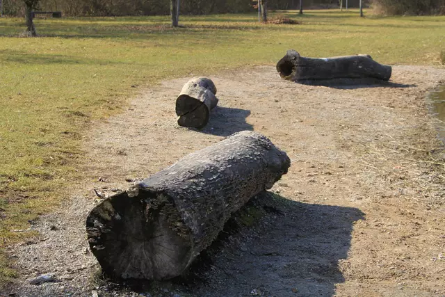Starkholzbacher See | Foto: Ralf Röser