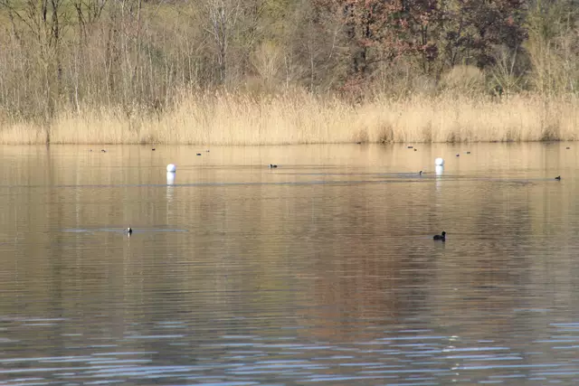 Starkholzbacher See | Foto: Ralf Röser