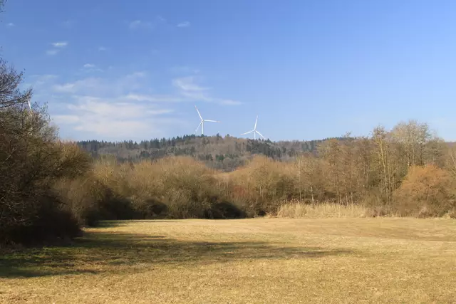 Starkholzbacher See | Foto: Ralf Röser