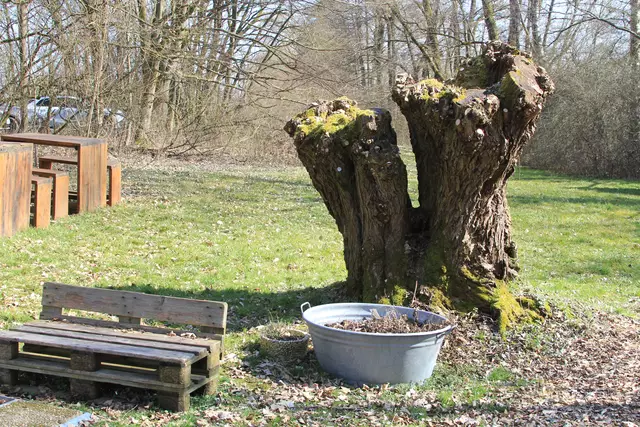 Starkholzbacher See | Foto: Ralf Röser