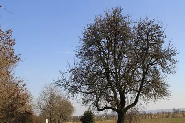 Starkholzbacher See | Foto: Ralf Röser