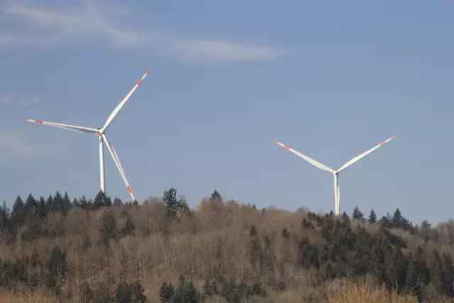 Starkholzbacher See | Foto: Ralf Röser