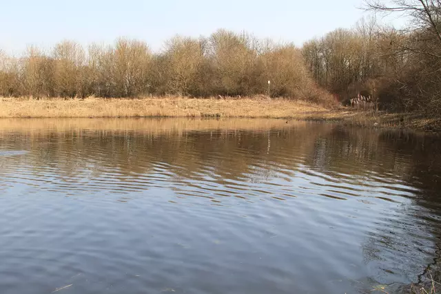 Starkholzbacher See | Foto: Ralf Röser