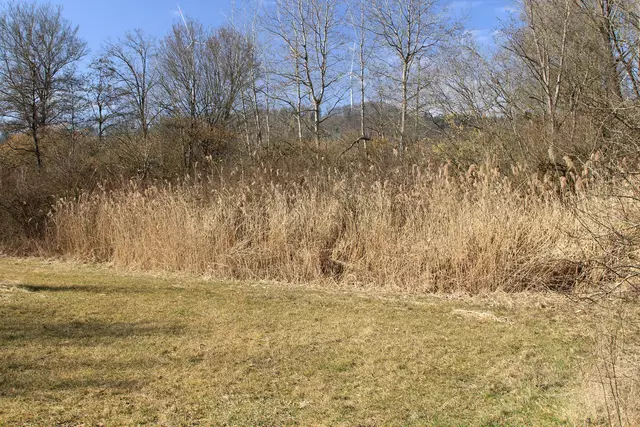 Starkholzbacher See | Foto: Ralf Röser