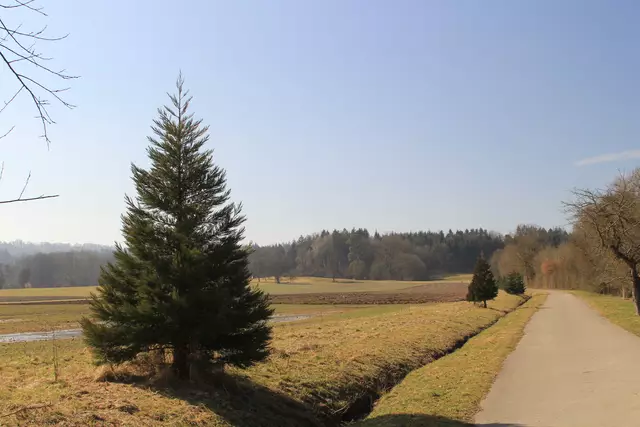 Starkholzbacher See | Foto: Ralf Röser